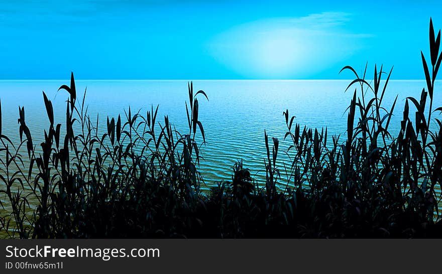 Water plants at sunset -  3D scene. Water plants at sunset -  3D scene.