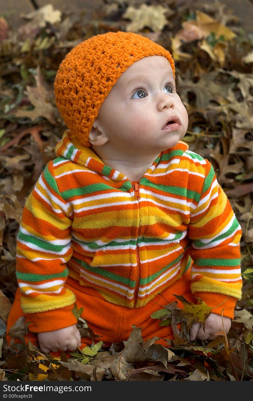 Picture of cute baby sitting in a pile of fallen leaves. Picture of cute baby sitting in a pile of fallen leaves