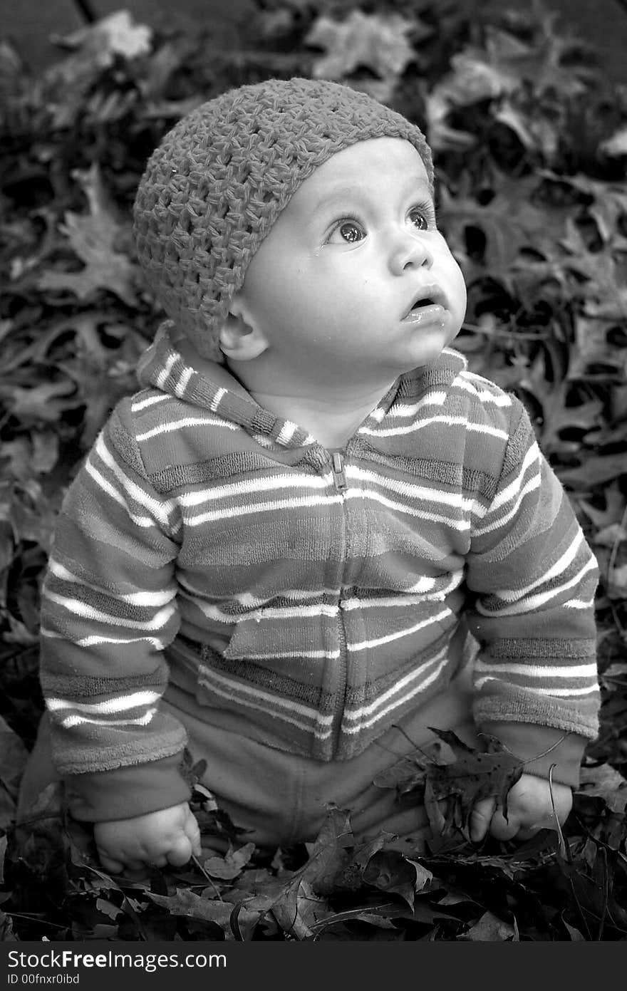 Black and white image of cute baby sitting in a pile of fallen leaves. Black and white image of cute baby sitting in a pile of fallen leaves