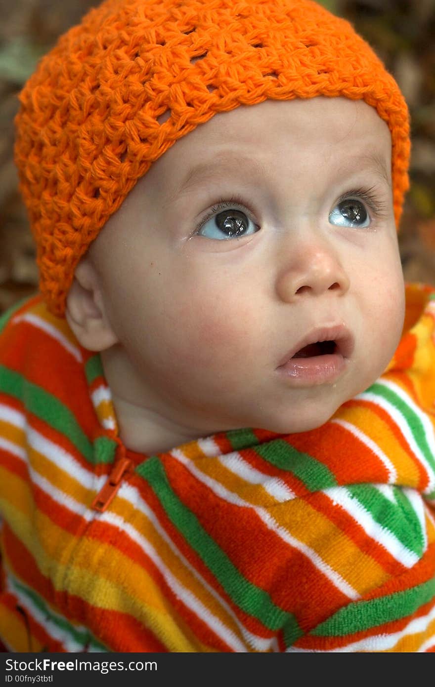 Image of a cute baby sitting in a pile of fallen leaves. Image of a cute baby sitting in a pile of fallen leaves