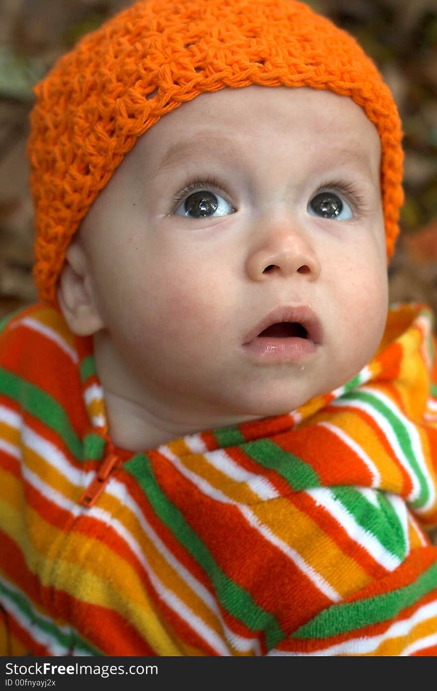 Picture of cute baby sitting in a pile of fallen leaves. Picture of cute baby sitting in a pile of fallen leaves