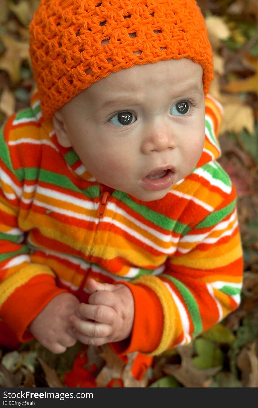 Picture of cute baby sitting in a pile of fallen leaves. Picture of cute baby sitting in a pile of fallen leaves