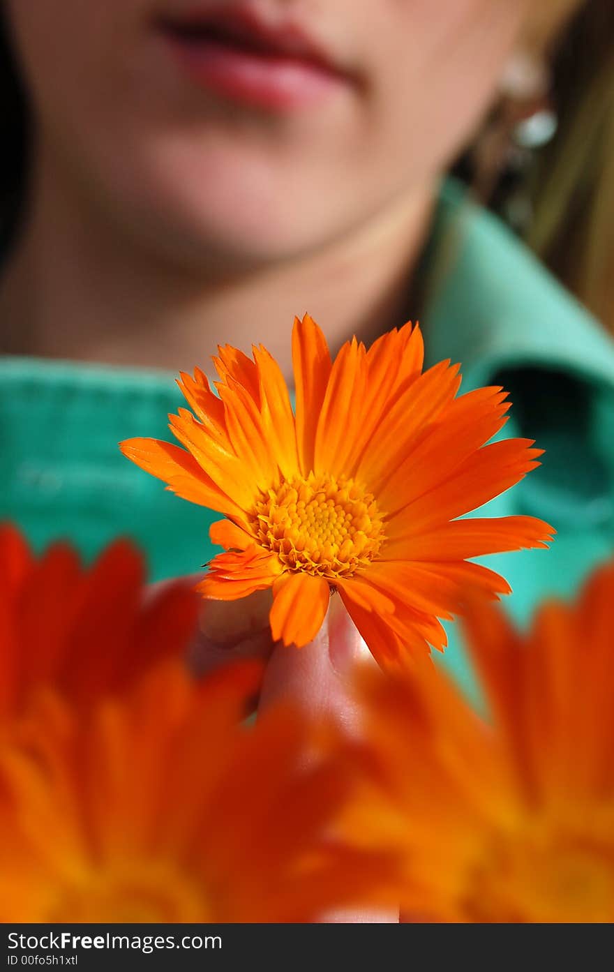 A women holding a flower. A women holding a flower.