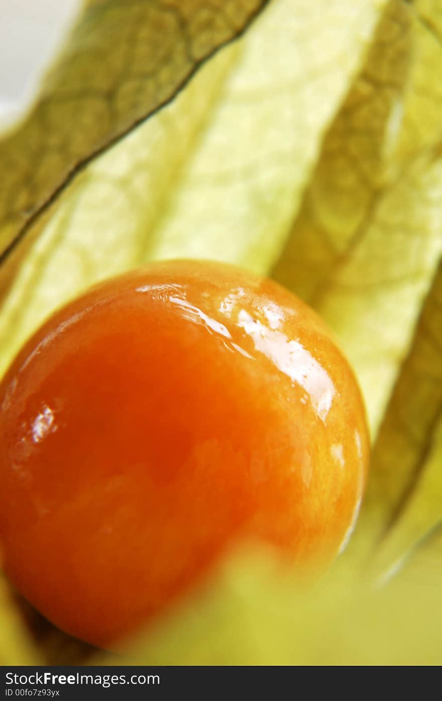 A macro shot of the Cape Gooseberry (Physalis).