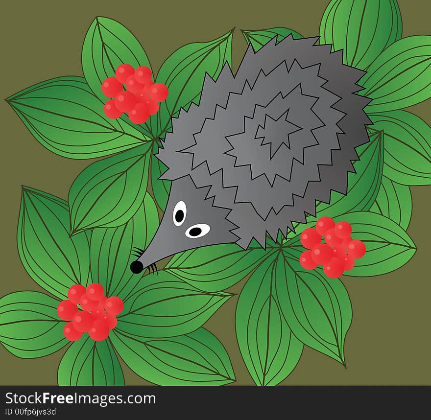 Hedgehog. The top view. A vector illustration.