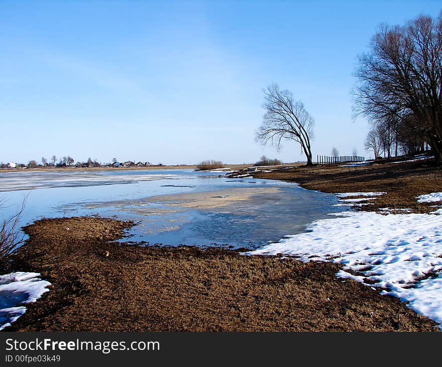 Coast of small lake in the early spring