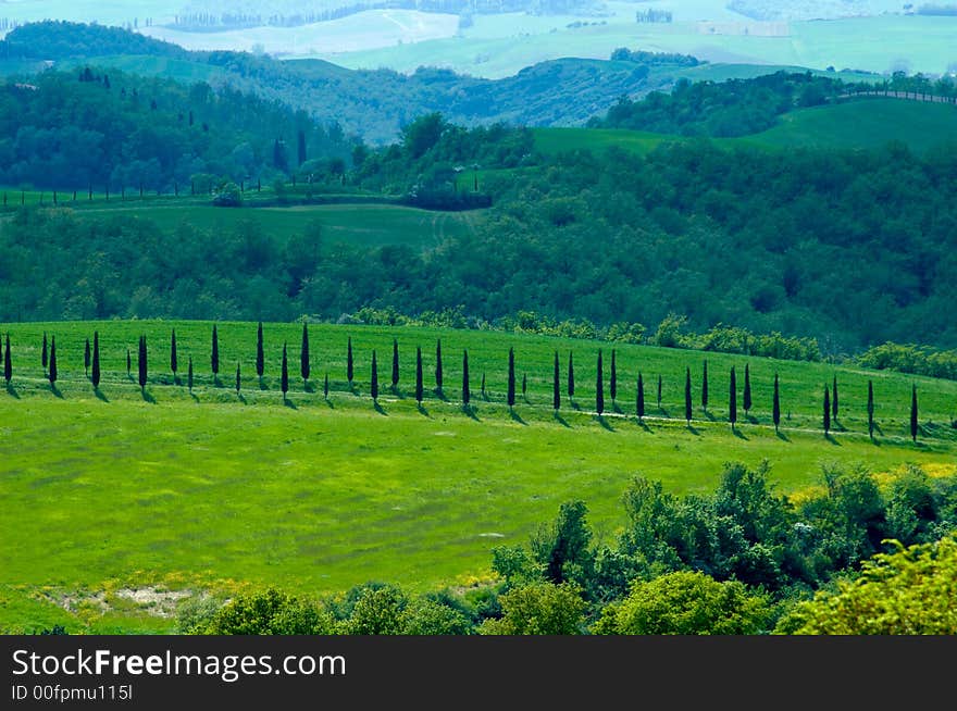 Rural countryside landscape in Tuscany region of Italy. Rural countryside landscape in Tuscany region of Italy.