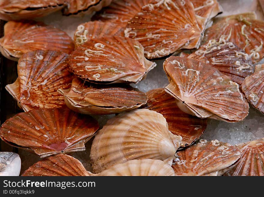 Mussels in the market-place in Venice