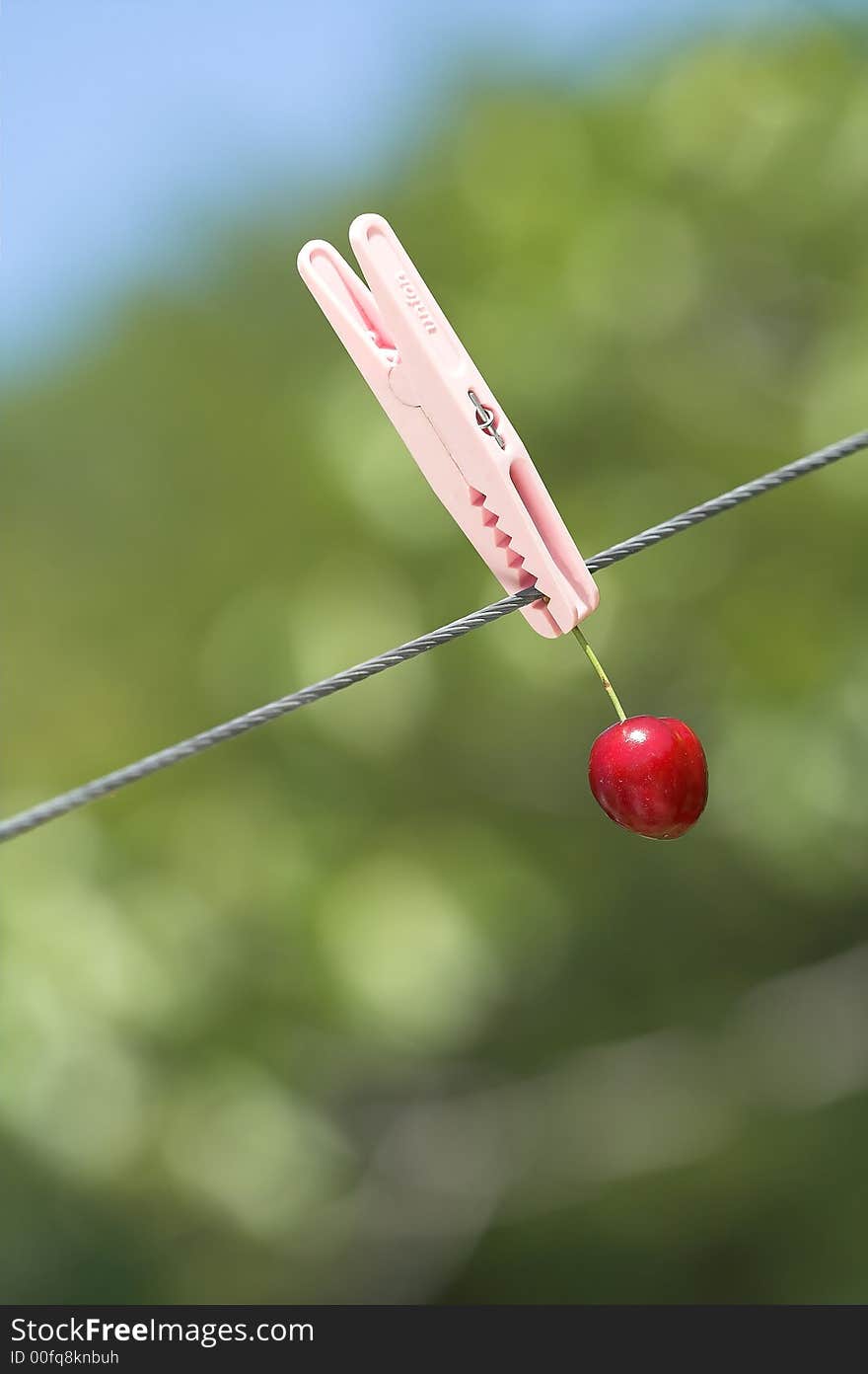 Cherry - fruit concept - desert, food