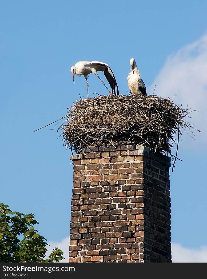 Two storks have arrived flied in a jack. The kid soon will be born