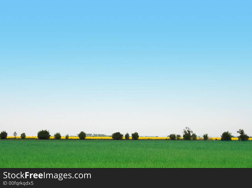 Czech landscape with yellow fields and blue sky