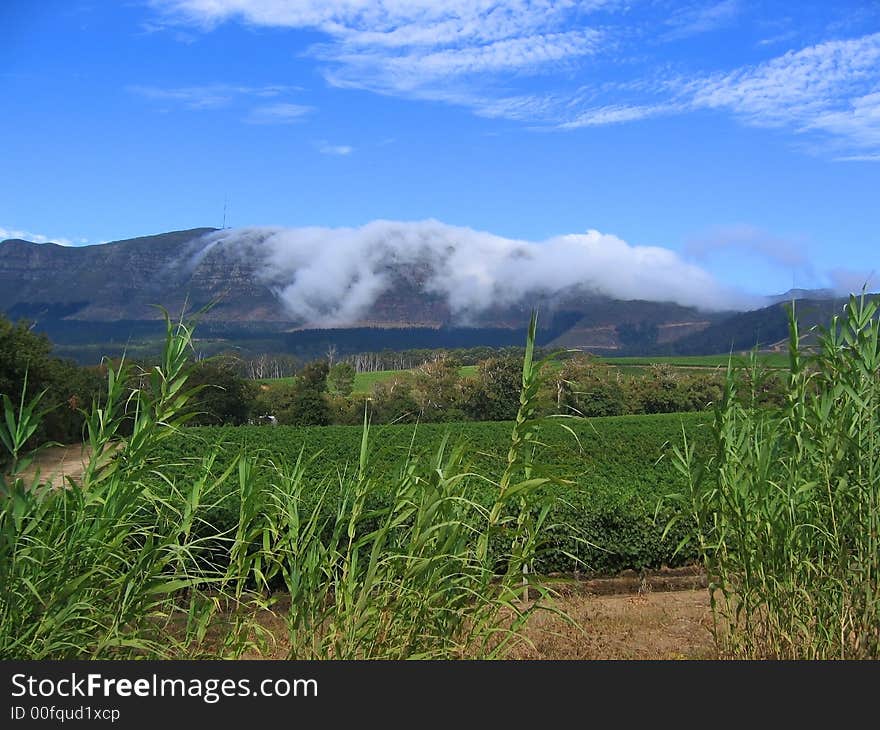 A beautiful mountain surrounding Constantia, Cape Town. A beautiful mountain surrounding Constantia, Cape Town