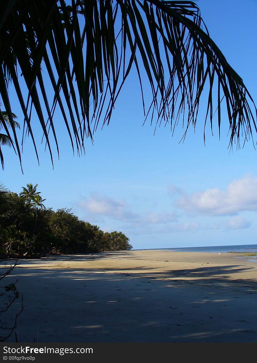 Beach to capetribulation (close to carins australia). Beach to capetribulation (close to carins australia)