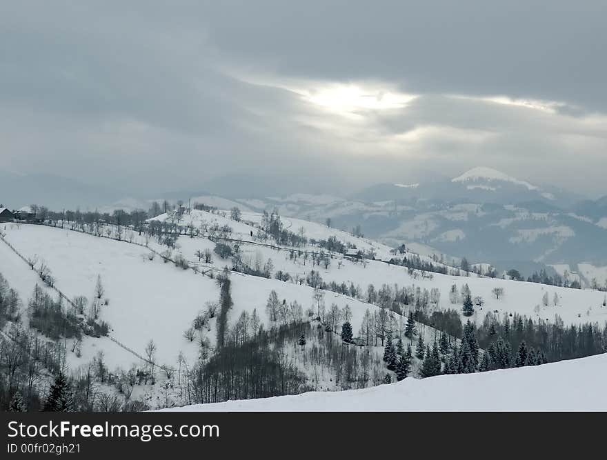 Winter landscape