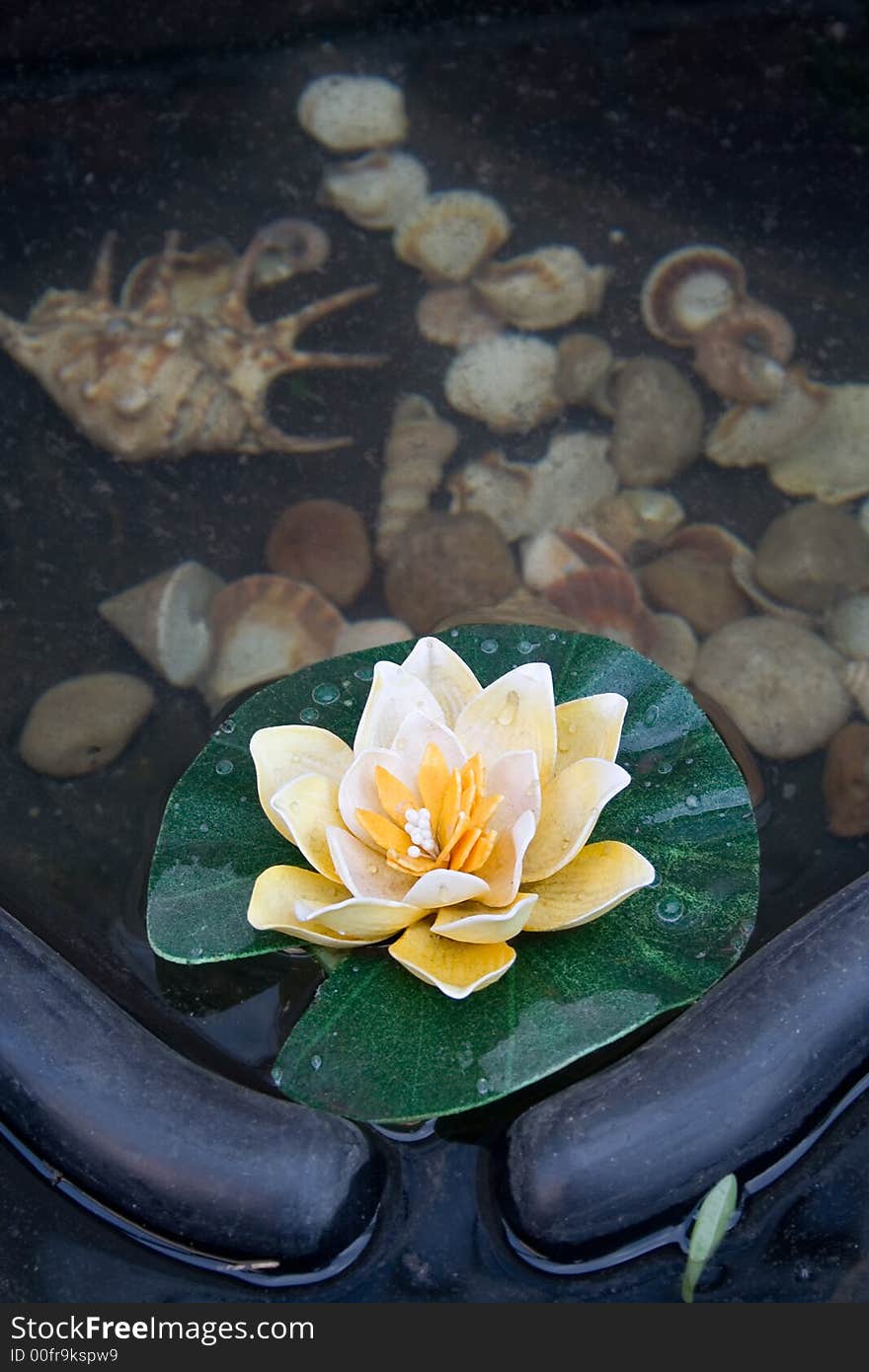 Small decorative pond made of plastic, with artificial water lily and real seashells at the bottom.