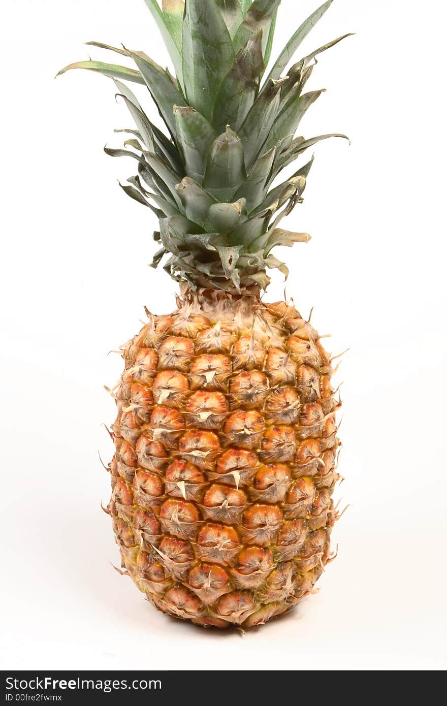 Pineapple