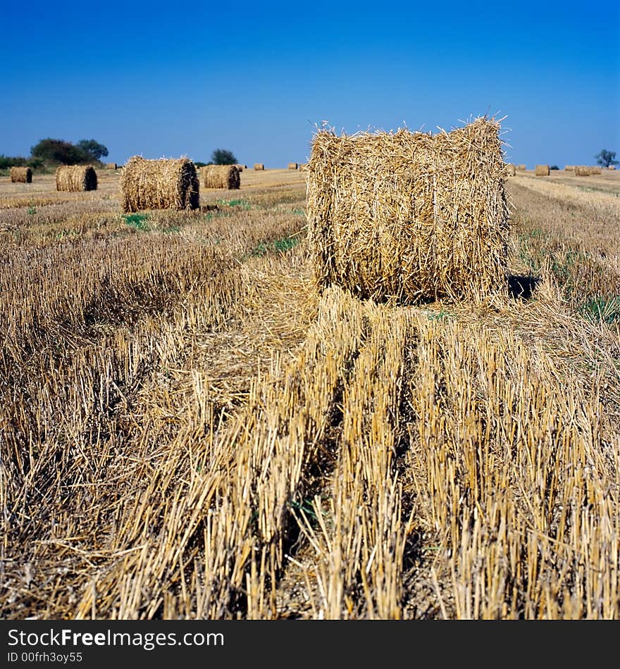 Haybale with blue sky in the background. Haybale with blue sky in the background