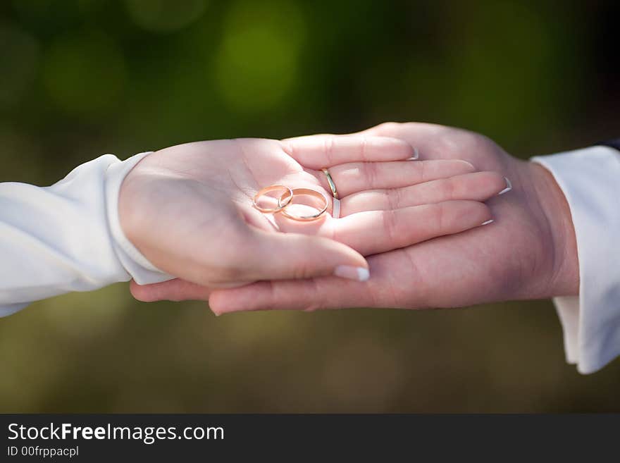 Bride and Groom's hand, showing their rings. Blurred Background. Bride and Groom's hand, showing their rings. Blurred Background.