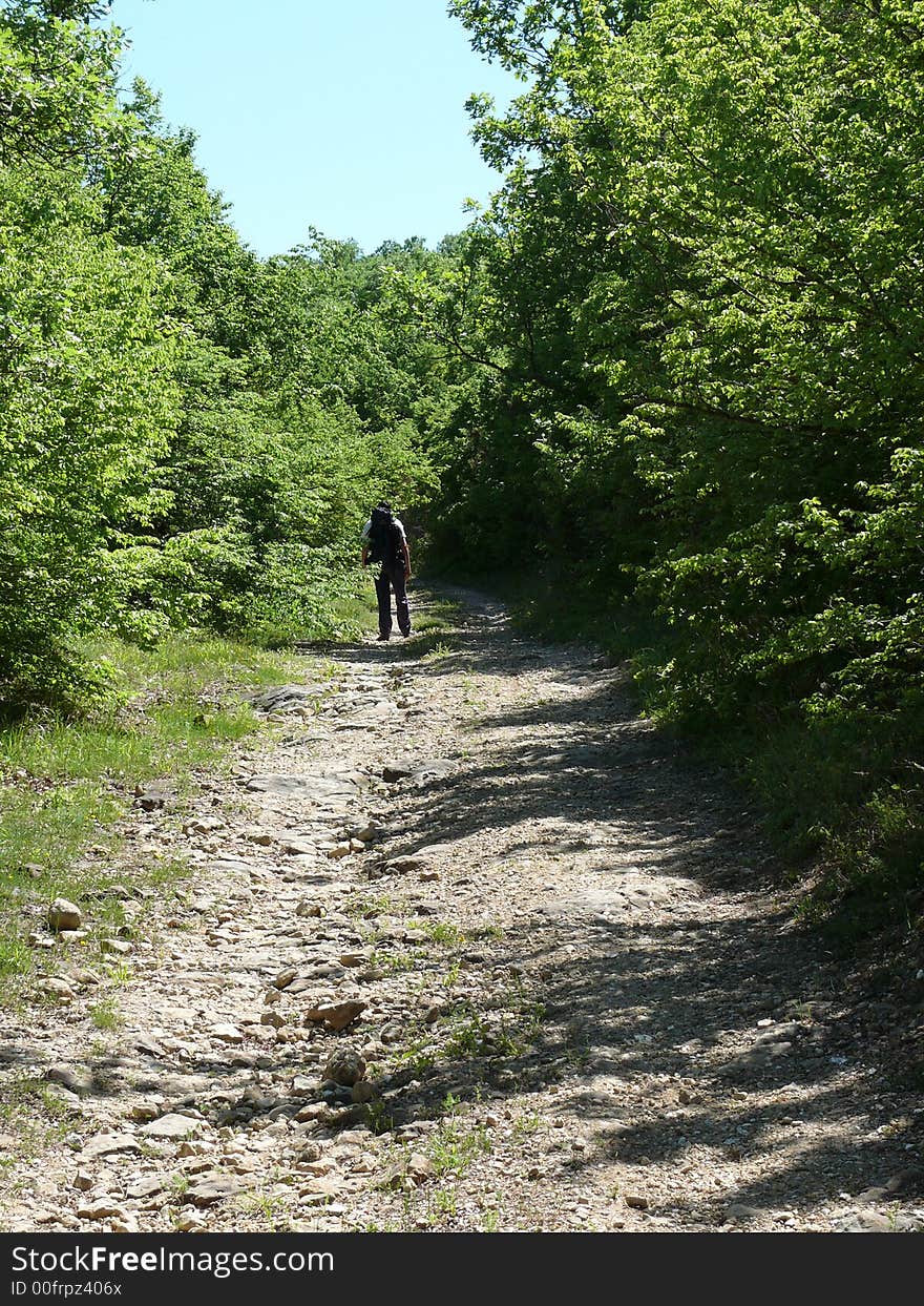 Road Leaving In A Distance