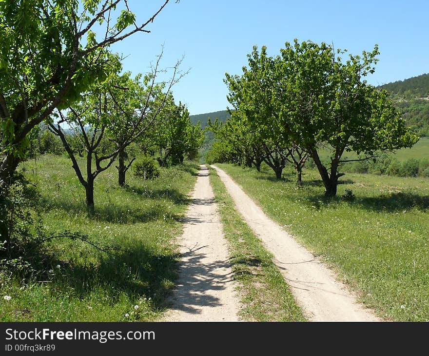 Road leaving in a distance