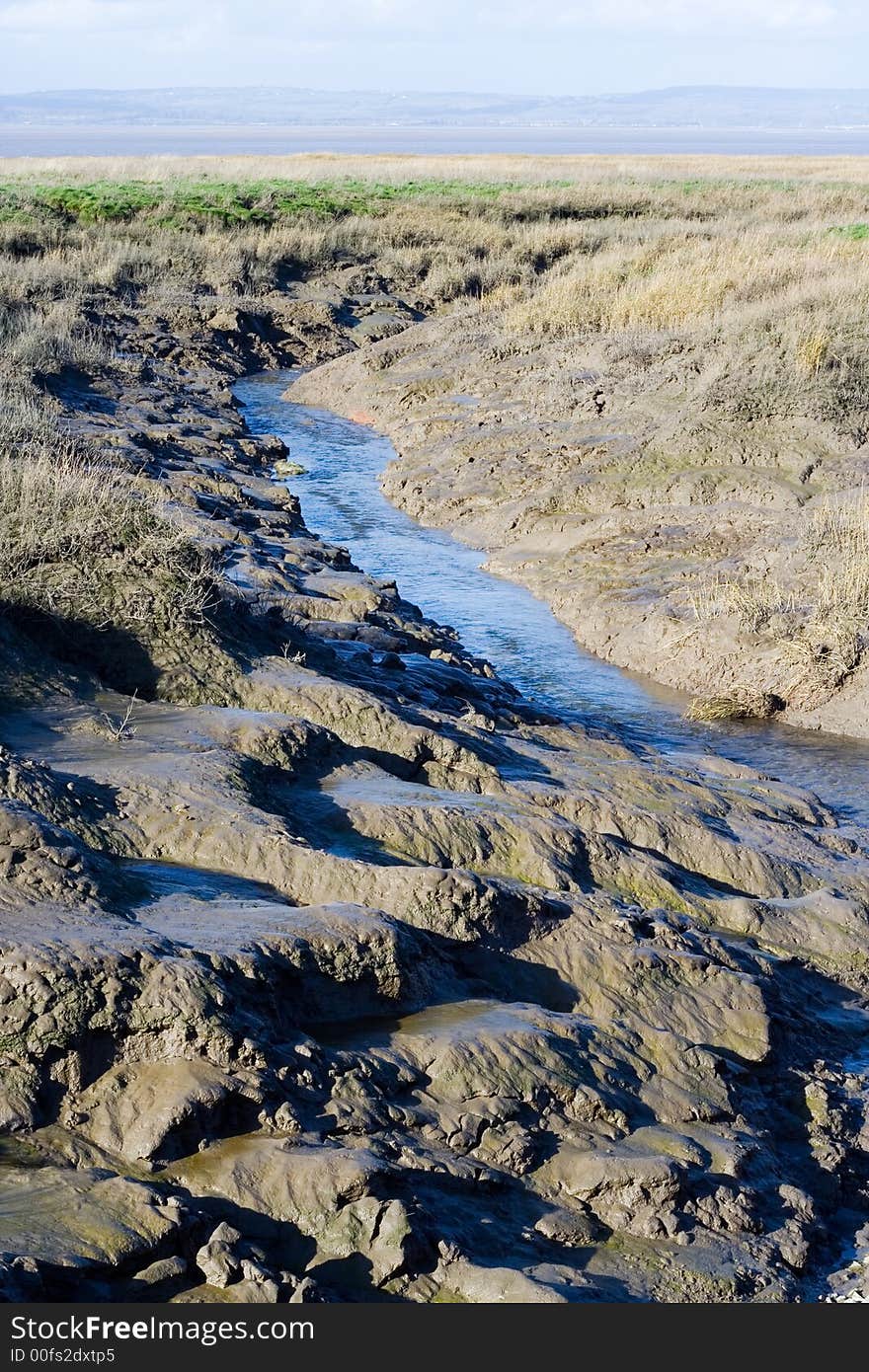 Muddy Stream Bed