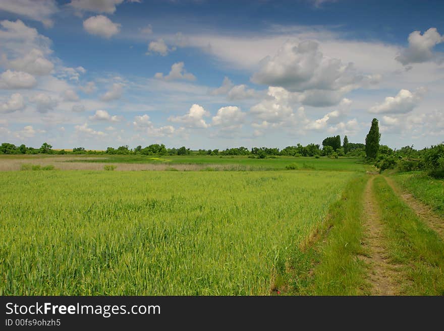 Green field