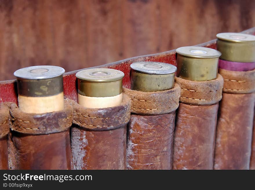 Shotgun shells in a belt - Macro