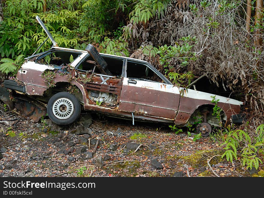 Car wreck in the forest