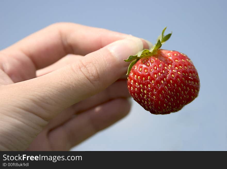 The strawberry in the hand