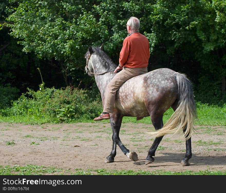 Elderly man on horseback with trees. Elderly man on horseback with trees