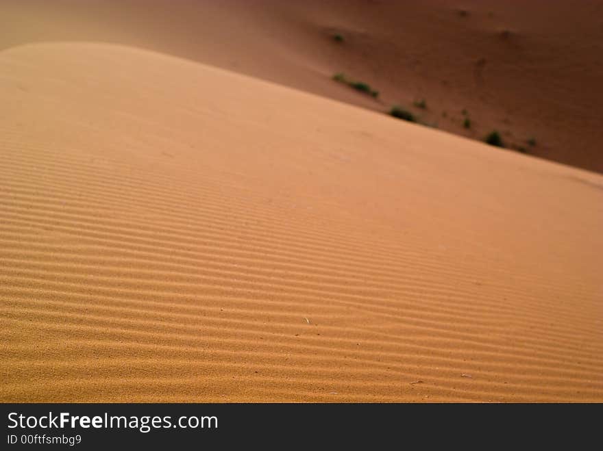 Dunes, Morocco