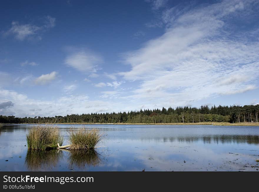 Wet landscape II