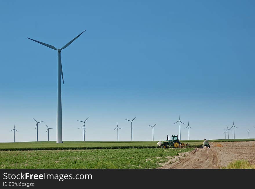 Wind Turbines in Wheat