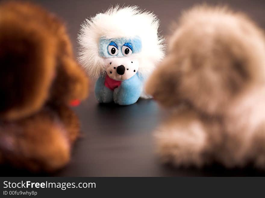 Toys: two dogs and lion on a table, (studio, halogen light). Toys: two dogs and lion on a table, (studio, halogen light).