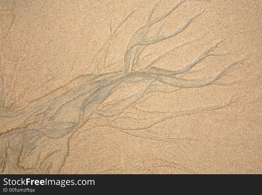 Seaweed pattern in the granular sand