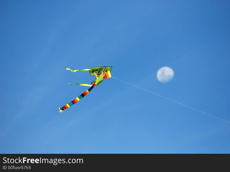 Colorful kites flying