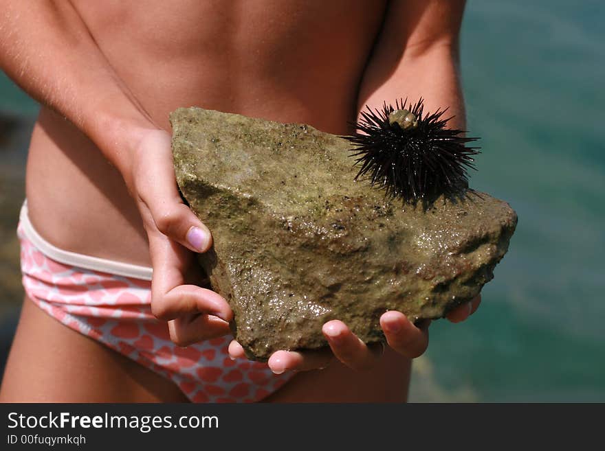 Hirl holding a sea hedgehog on a rock