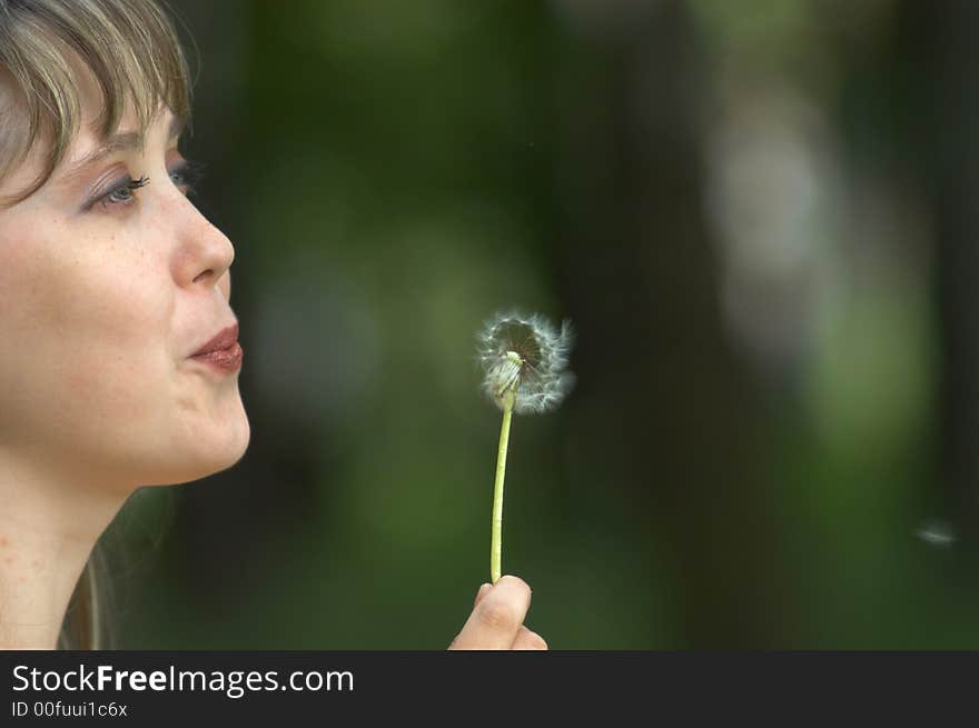 An image of a girl with dandelion. An image of a girl with dandelion