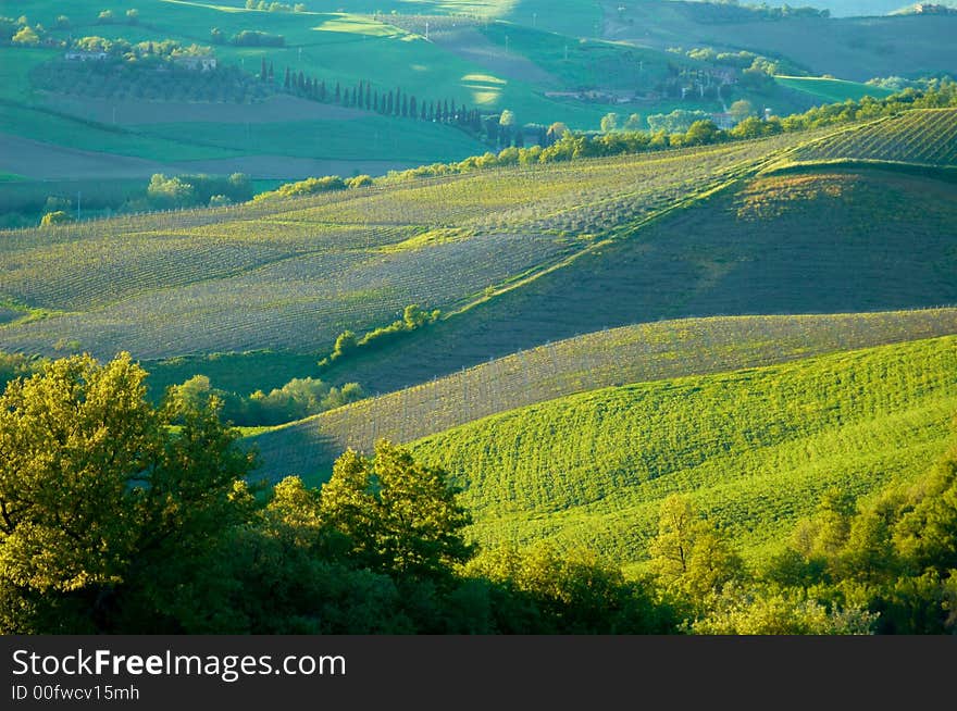 Rural countryside landscape in Tuscany region of Italy. Rural countryside landscape in Tuscany region of Italy.