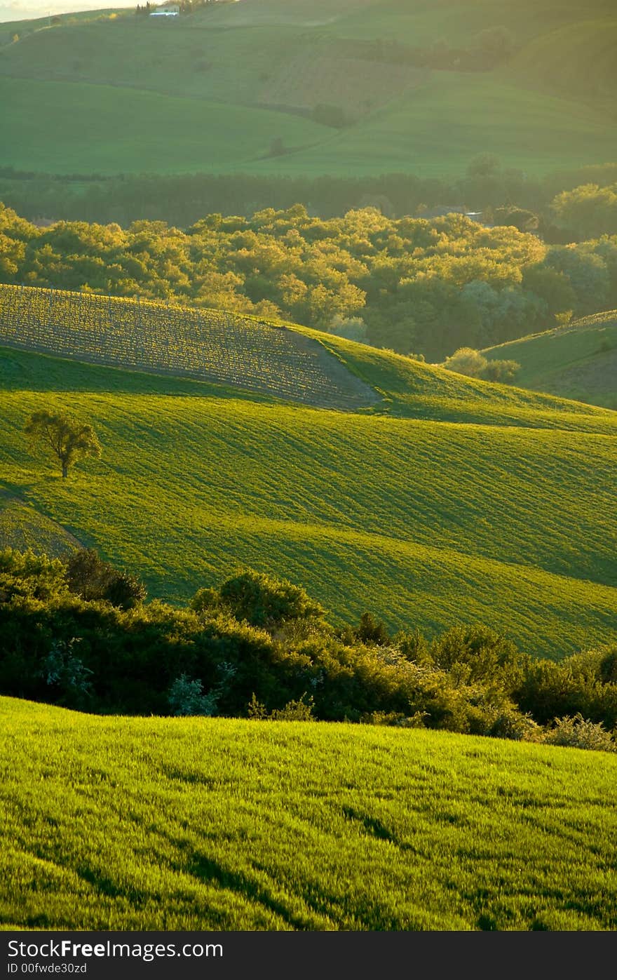 Rural countryside landscape in Tuscany region of Italy. Rural countryside landscape in Tuscany region of Italy.