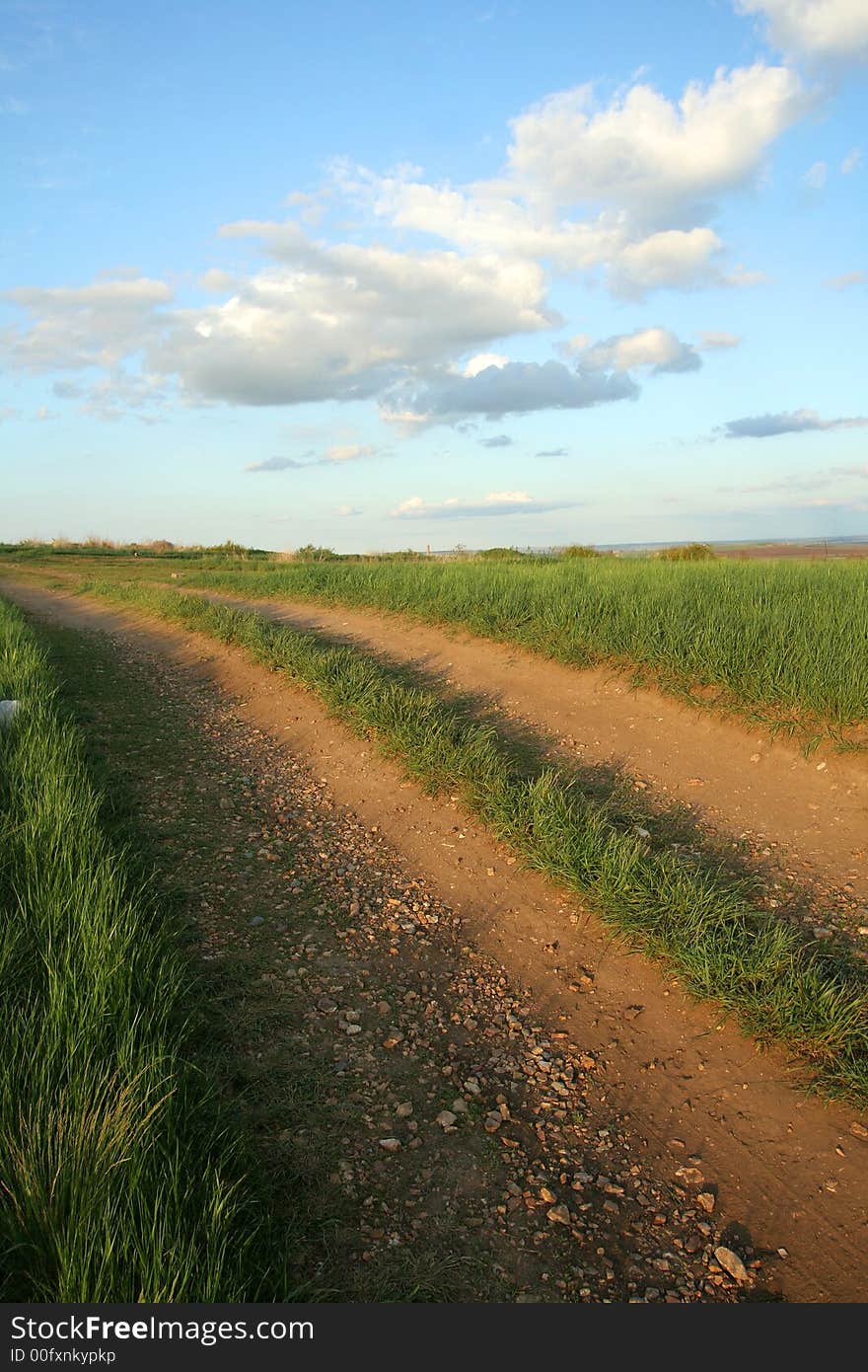 Road to steppes among a grass