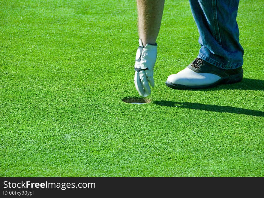 Golfer getting his ball from the hole. Golfer getting his ball from the hole