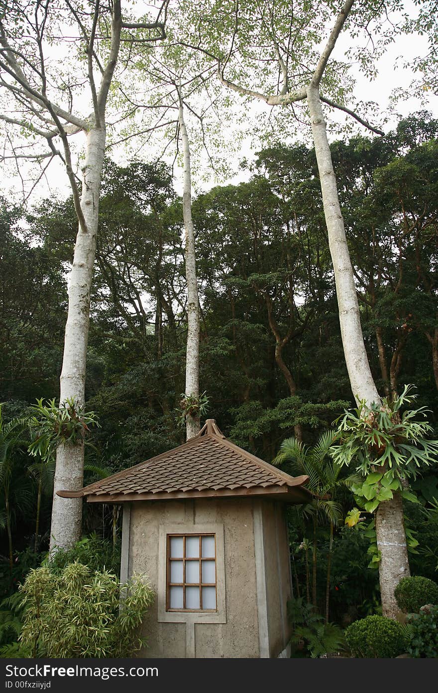 Old house with fine details in the forest. Old house with fine details in the forest