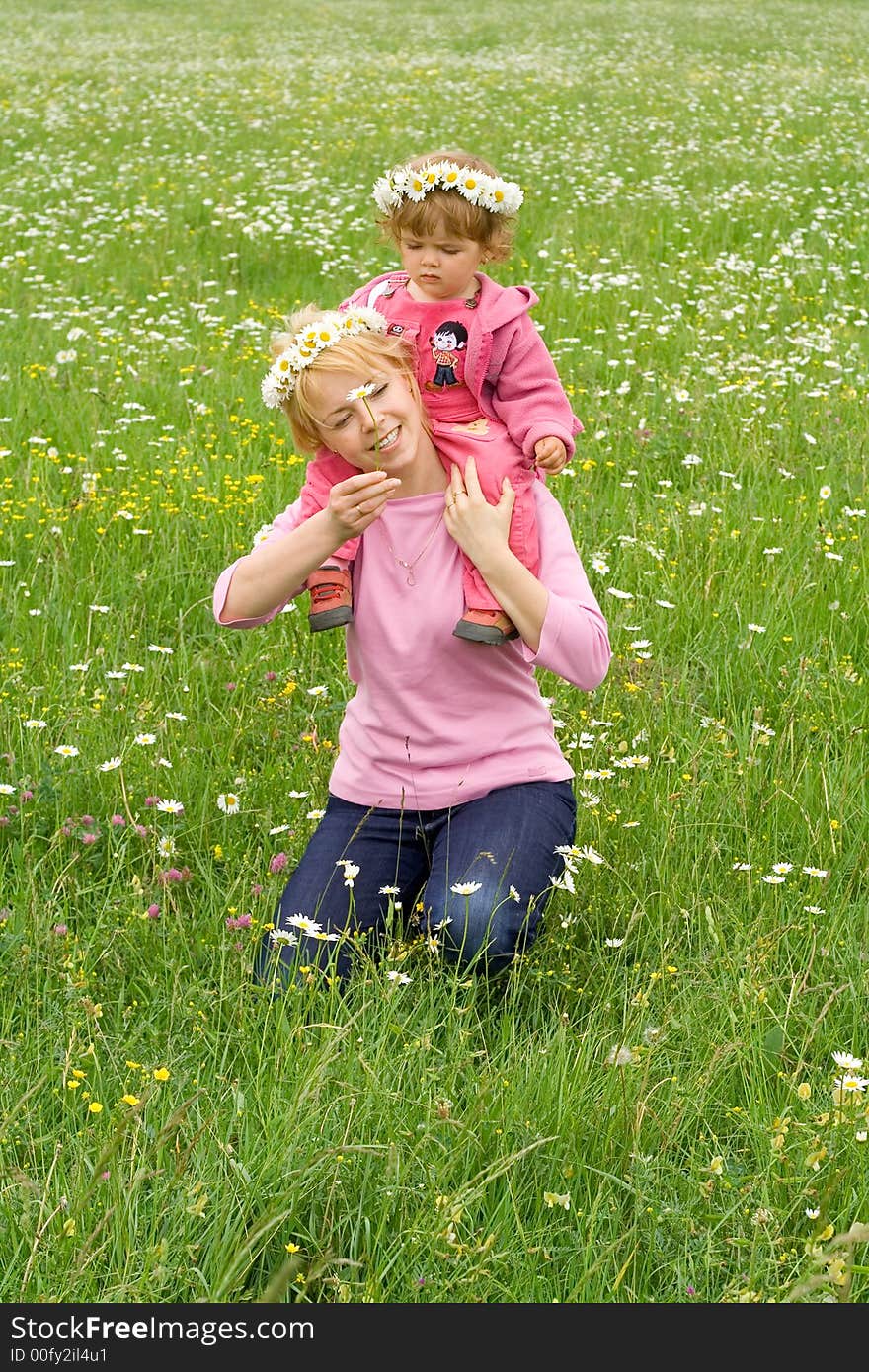 On the flowers field