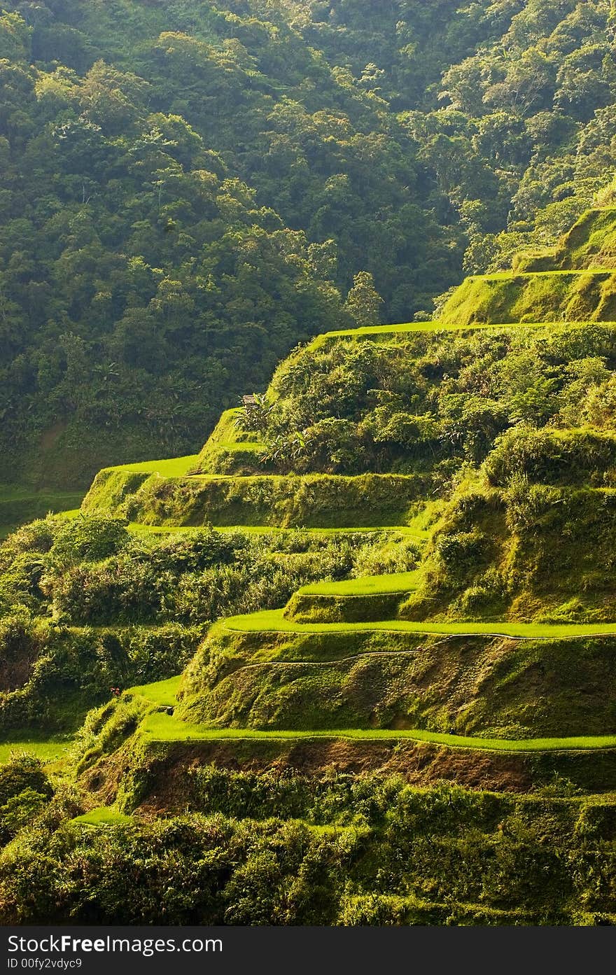 Hapao Rice Terraces