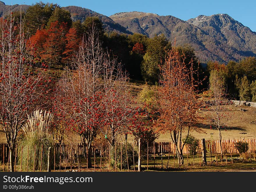 Autumn in Patagonia