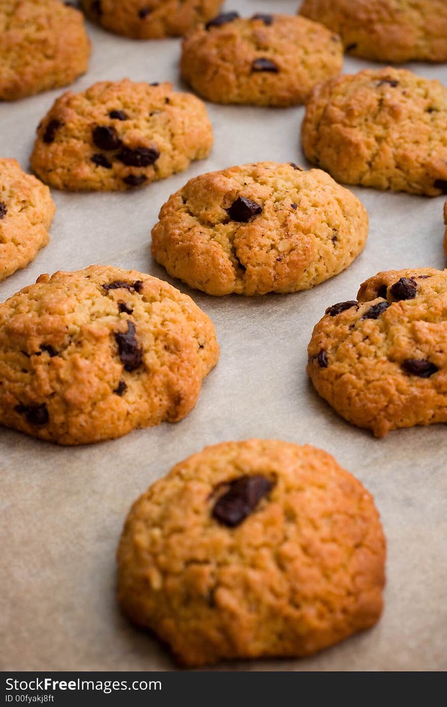 Freshly baked delicious chocolate chip cookies on tray