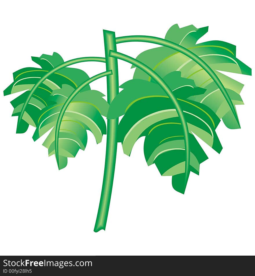 Art illustration of a part of a tree with leaves