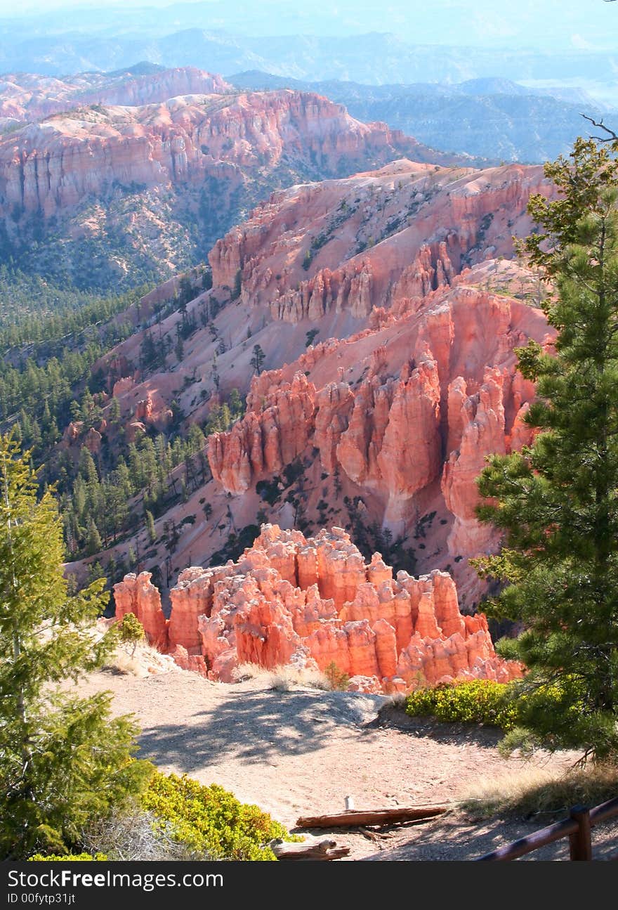Vertical orientation of Bryce Canyon hoodoo rock formations, framed by trees.
