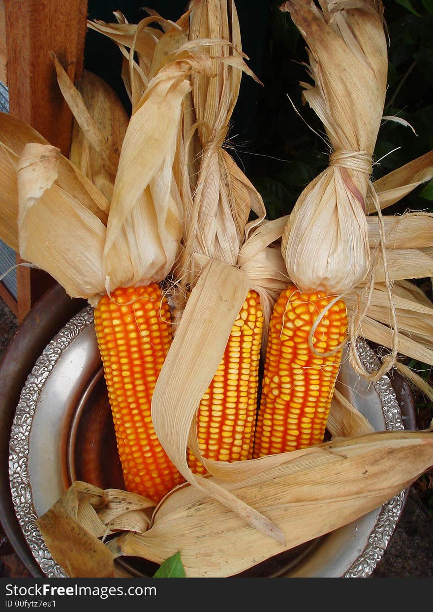 Dry corn in a pot waiting for customer to take them...